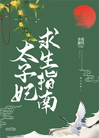 太子妃求生指南封面