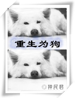 ����Ϊ������