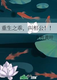 ����֮�ԣ����๫����