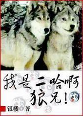 ���Ƕ��������ַ���