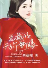 总裁的天价新娘封面