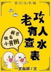 老攻有人查水表封面