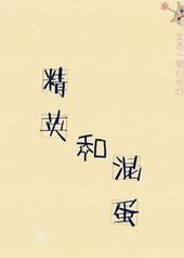 精英和混蛋封面