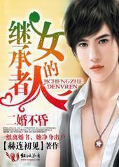 二婚不昏，继承者的女人封面