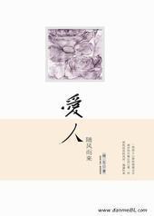 爱人随风而来封面
