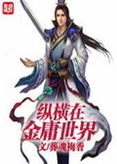 纵横在金庸世界封面