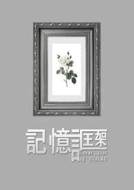记忆誆架封面