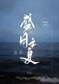 盛月之夏封面