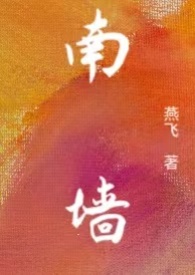 南墙（np）封面