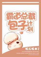 霸道总裁包子计划封面