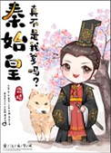 秦始皇真不是我爹？封面