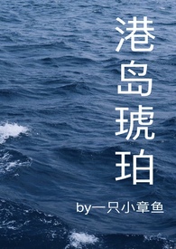 港岛琥珀封面