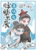 胖柴不废要崛起封面