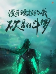 没有魂技的我，砍翻斗罗封面