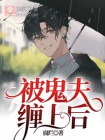 被鬼夫缠上后封面