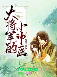大将军的小神医封面