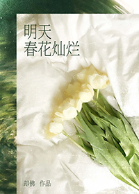 明天春花灿烂封面