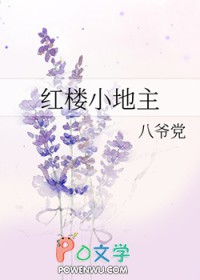 红楼小地主封面