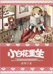 小白花重生封面