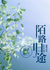 陌路归途封面