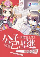 报告皇上之公子已出逃封面