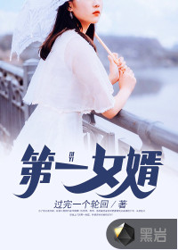 第一女婿封面