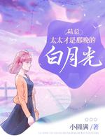 陆总，太太才是那晚的白月光封面