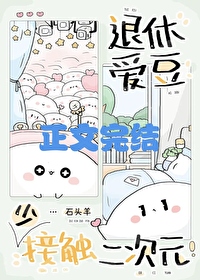 退休爱豆少接触二次元封面