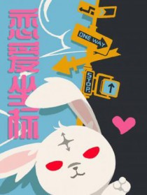 恋爱坐标封面