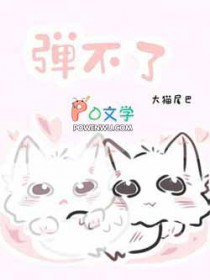 弹不了封面