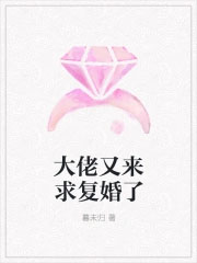 大佬又来求复婚了封面