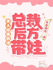 夫人称霸职场，总裁后方带娃封面