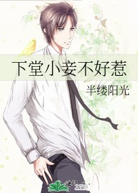下堂小妾不好惹封面