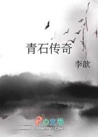 青海残歌封面