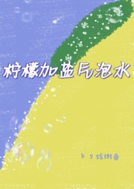 柠檬加盐气泡水（兄妹骨）封面