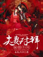 夫妻对拜，媳妇宠坏封面