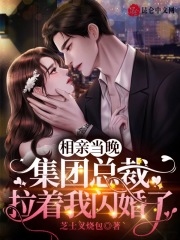 相亲当晚，集团总裁拉着我闪婚了封面