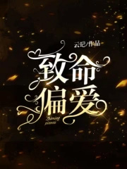 致命偏爱封面