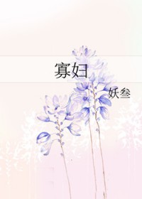 寡妇封面