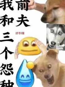 我和三个怨种前夫封面