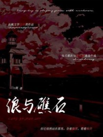浪与礁石封面
