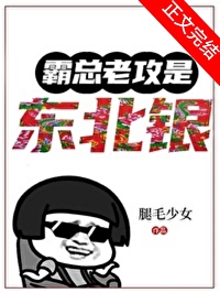 霸总老攻是东北银封面