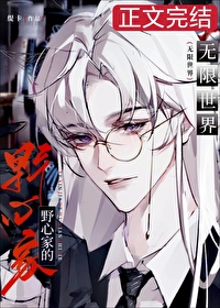 当野心家进入无限世界封面