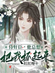 侍奸臣，他总想把我抓起来封面