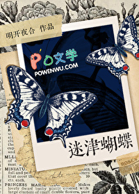 迷津蝴蝶封面