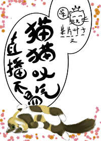 直播不易，猫猫叹气封面
