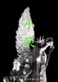 小茉（年代 强制）封面
