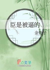 臣是被逼的封面