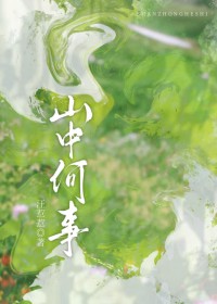 山中何事封面