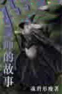 追忆魔法导师的故事封面